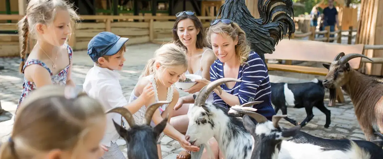 Familie füttert Ziegen im Streichelzoo. Ein schöner Tag in Berlin mit Kind und Tieren.