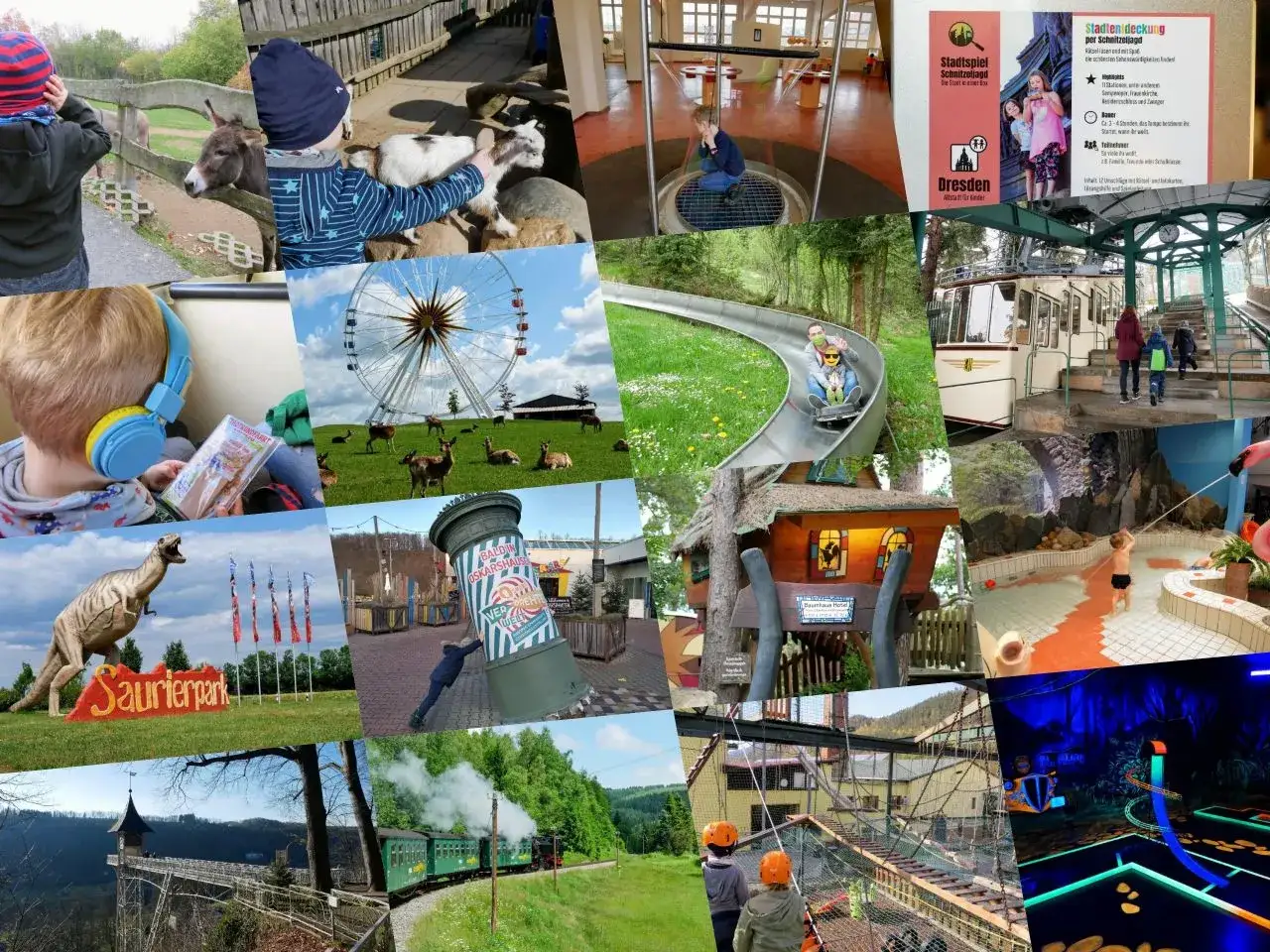Ein bunter Collage-Mix für einen tollen tagesausflug sachsen-anhalt mit kindern: Tiere streicheln, Achterbahn fahren, im Kletterpark toben und vieles mehr.