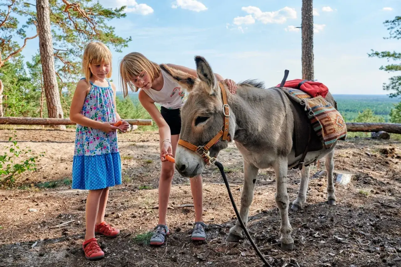 Zwei Mädchen füttern einen Esel mit Karotten. Ein schöner Urlaub in Brandenburg mit Kindern, inmitten der Natur.