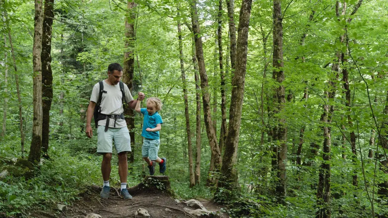Ein Vater hält die Hand seines Sohnes, während sie durch einen grünen Wald wandern. Ein tolles Erlebnis für wandern mit Kindern Pfalz.