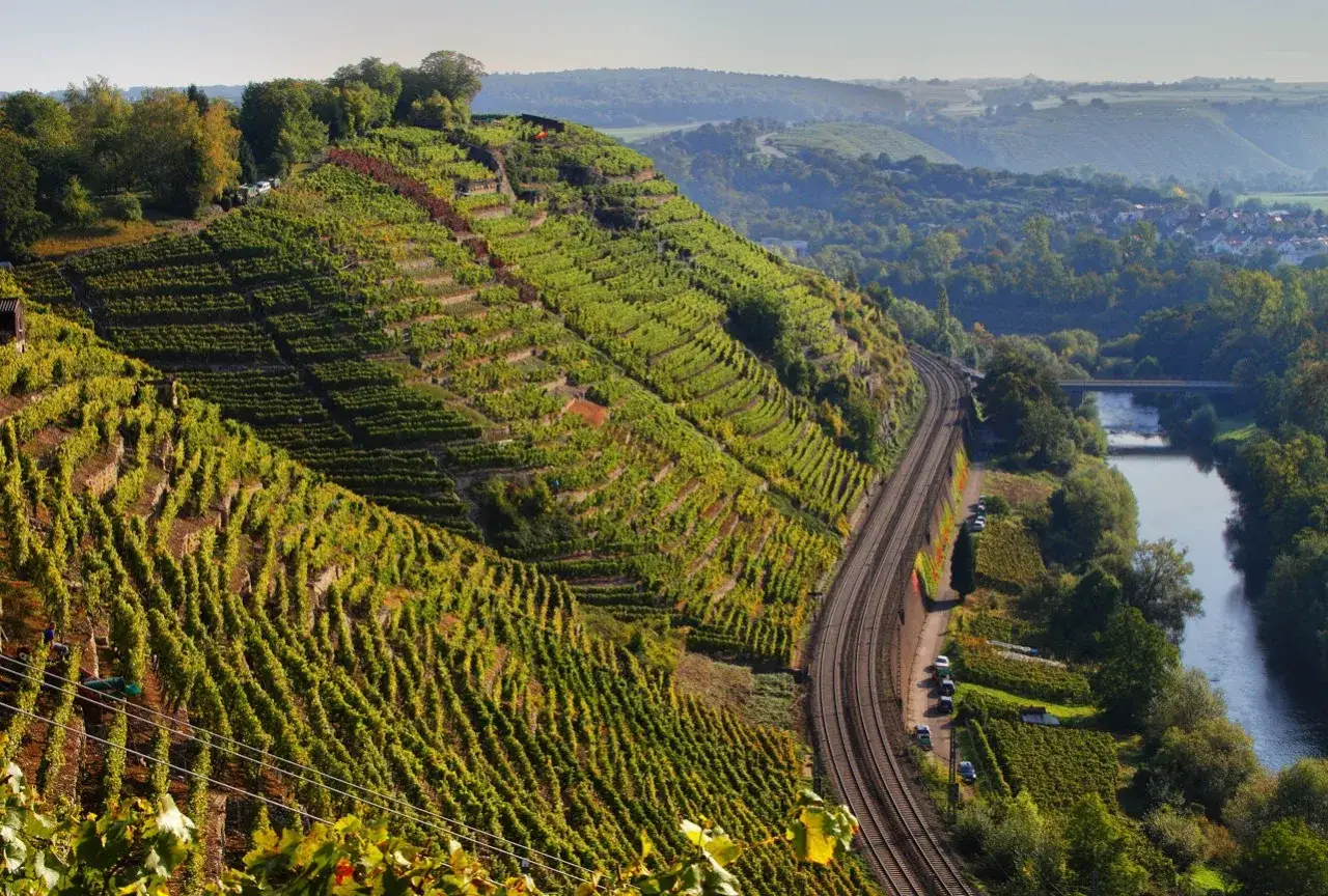 Terrassierte Weinberge bei Besigheim laden zum Wandern ein. Eine Bahnstrecke schlängelt sich am Neckar entlang.