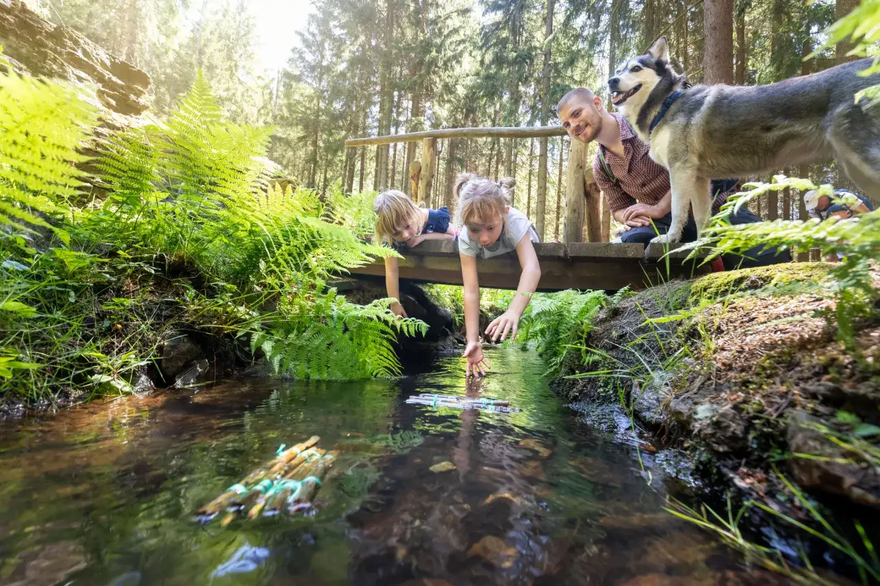 Familie mit Hund erkundet einen Bachlauf im Wald, ein tolles Erlebnis f&uuml;r Ausflugsziele Erzgebirge.