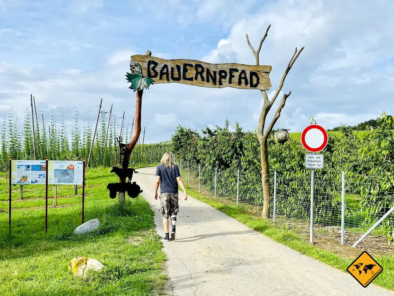 Ein Mann geht auf einem Bauernpfad am Bodensee entlang, vorbei an Hopfenfeldern und Obstb&auml;umen. Ein tolles Erlebnis f&uuml;r bodensee mit kindern.