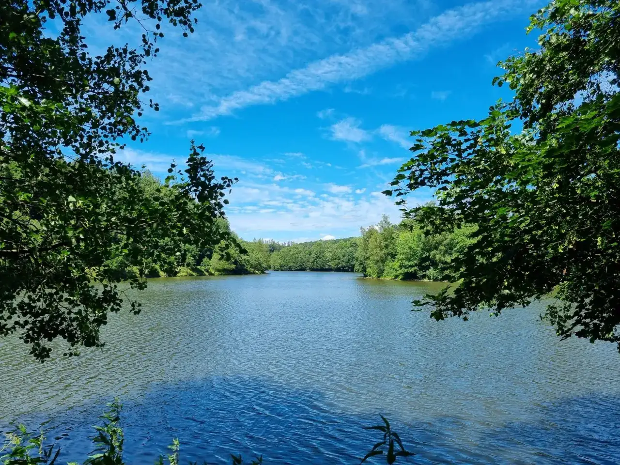 Idyllischer See im Oberbergischen Kreis, perfekt f&uuml;r Ausflugsziele mit Kindern. Gr&uuml;ne B&auml;ume und blauer Himmel.