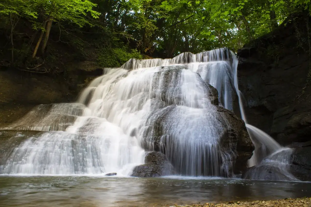 Ein üppig grüner Wald umgibt den malerischen junginger wasserfall, dessen Wasser über moosbewachsene Felsen fließt.