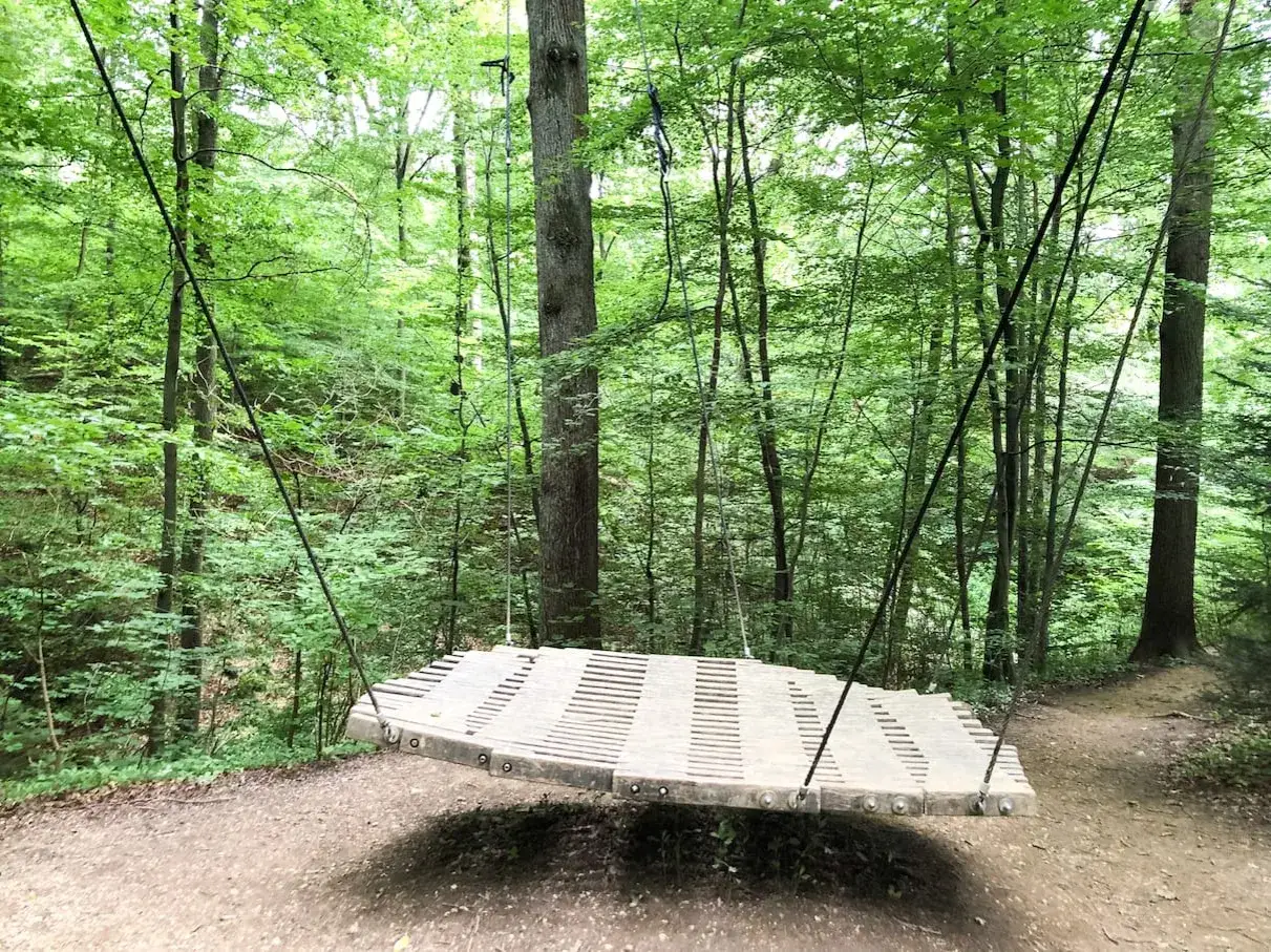 Eine Hängematte lädt zum Verweilen ein. Ein Ort für einen Sinneswandel im Wald bei Bad Boll.