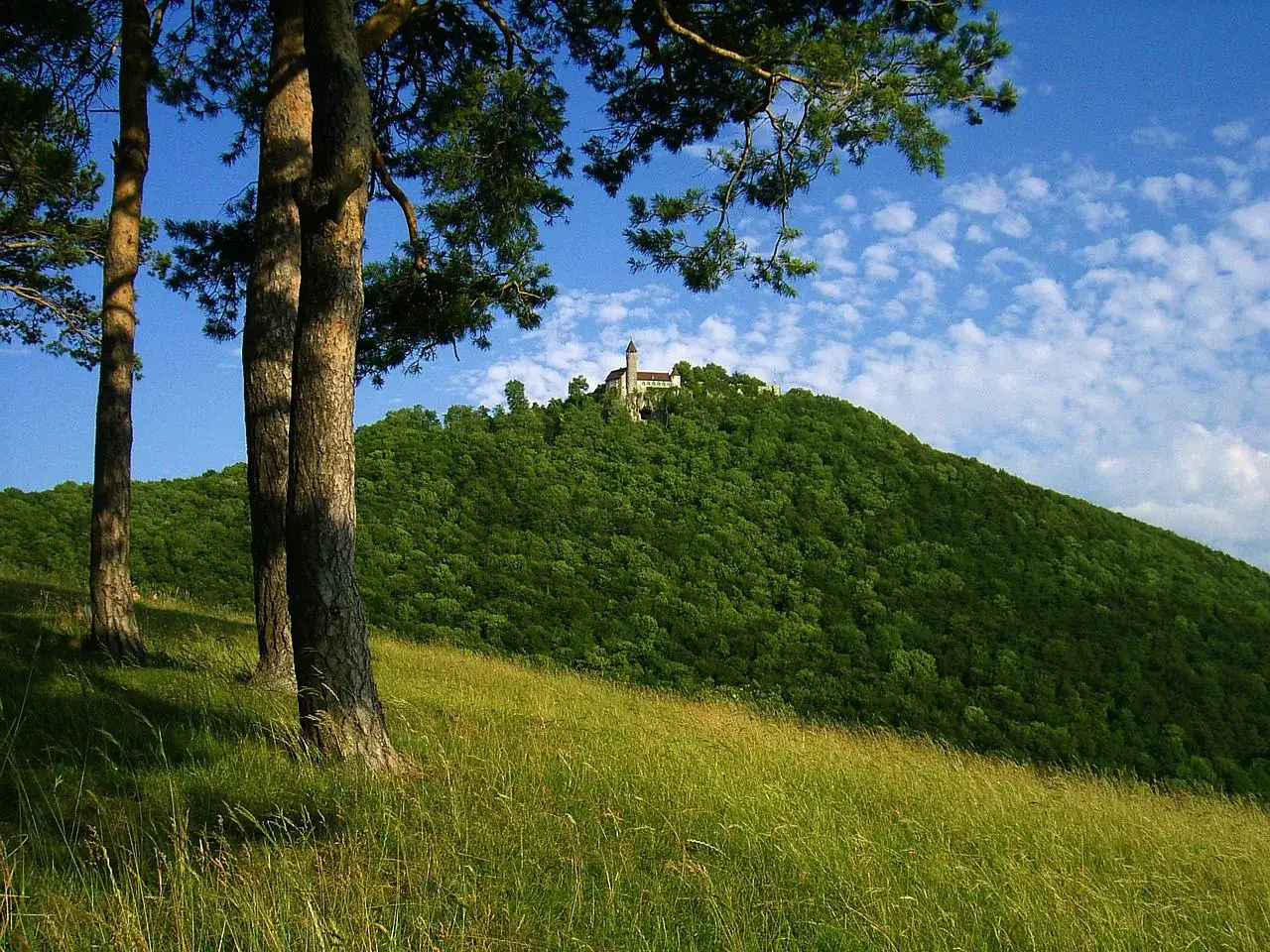 Burg Teck thront auf einem bewaldeten H&uuml;gel, umgeben von saftigem Gras und Kiefern. Ein malerischer Ausblick.