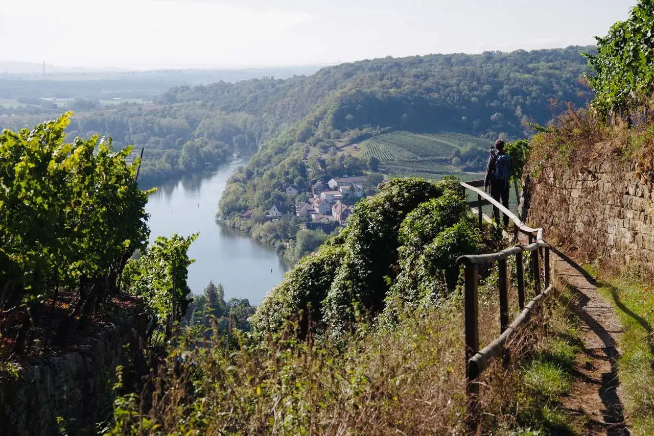 Wanderer genie&szlig;t die Aussicht vom Aussichtspunkt Ludwigsburg &uuml;ber das Neckartal mit Weinbergen und einem Dorf.