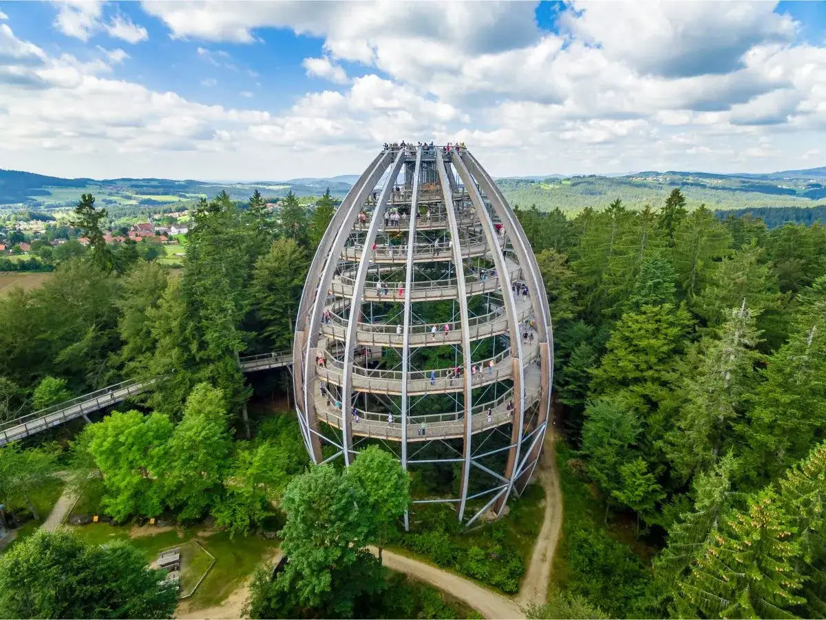 Ein Baumwipfelpfad im bayerischen Wald mit Kindern, die die Aussicht genießen.