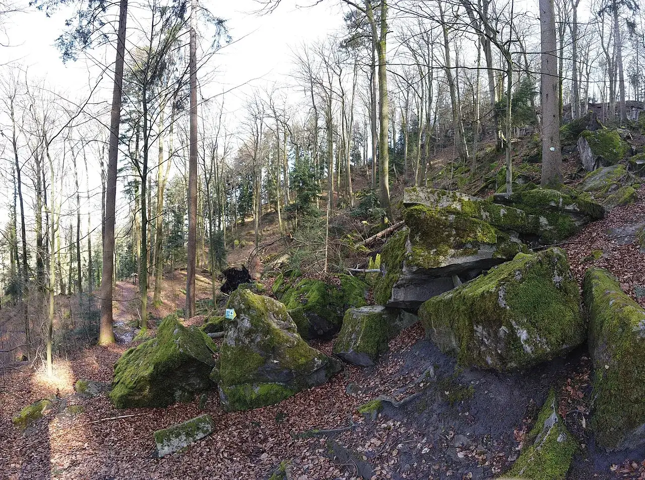 Moosbewachsene Felsen im Felsenmeer Murrhardt, umgeben von kahlen Bäumen und Laub. Ein Wegweiser weist den Weg durch das mystische Waldstück.