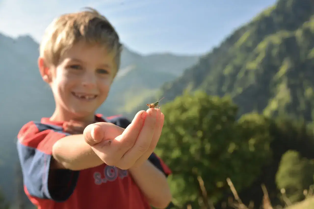Ein Junge hält eine Grille in der Hand, während er in den Bergen von Bad Hindelang wandert. Ein tolles Erlebnis beim Wandern mit Kindern!