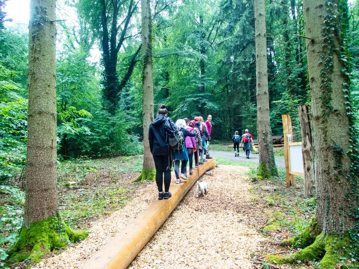 Eine Gruppe wandert auf einem hardy pfad durch einen üppigen Wald. Ein kleiner Hund folgt ihnen.
