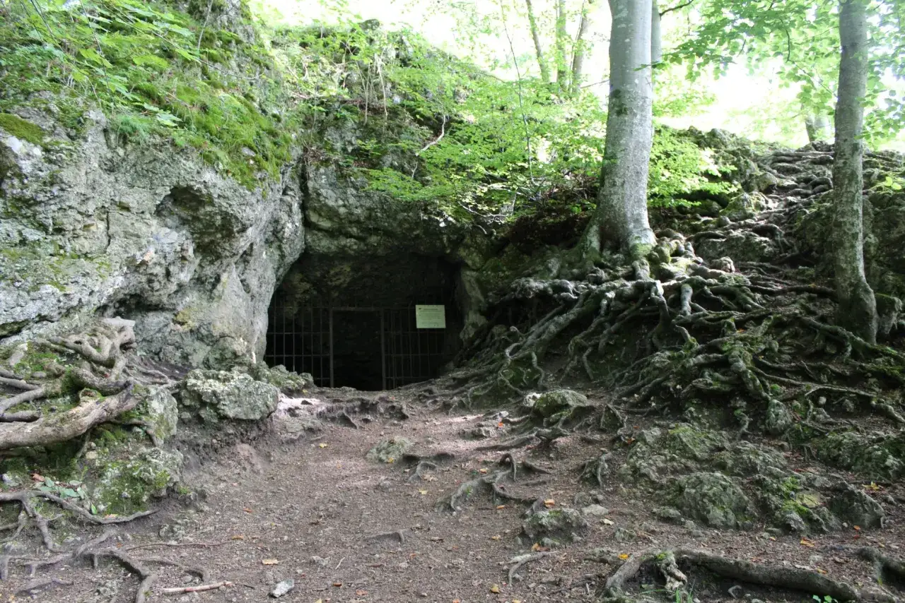 Ein finsteres Loch, eine H&ouml;hle mit Gittertor, umgeben von moosbewachsenen Felsen und verschlungenen Baumwurzeln im Wald.