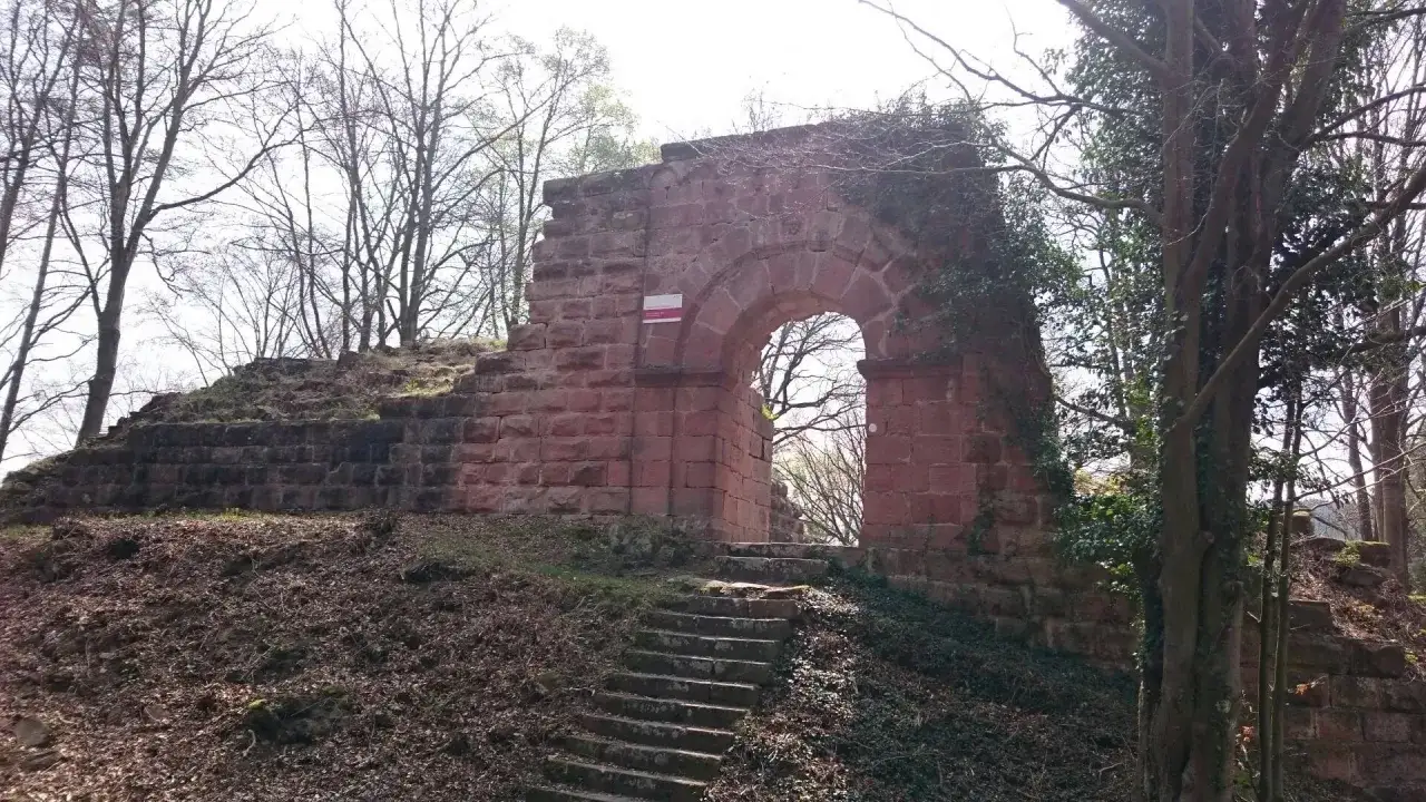 Ruinen der Burg Schlosseck mit steinerner Torbogen und Treppe, umgeben von Bäumen.