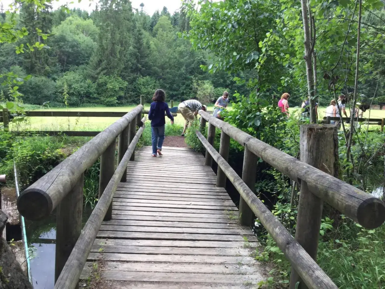 Holzbr&uuml;cke im Barfusspark Hallwangen mit spielenden Kindern und Erwachsenen, umgeben von &uuml;ppiger Natur.