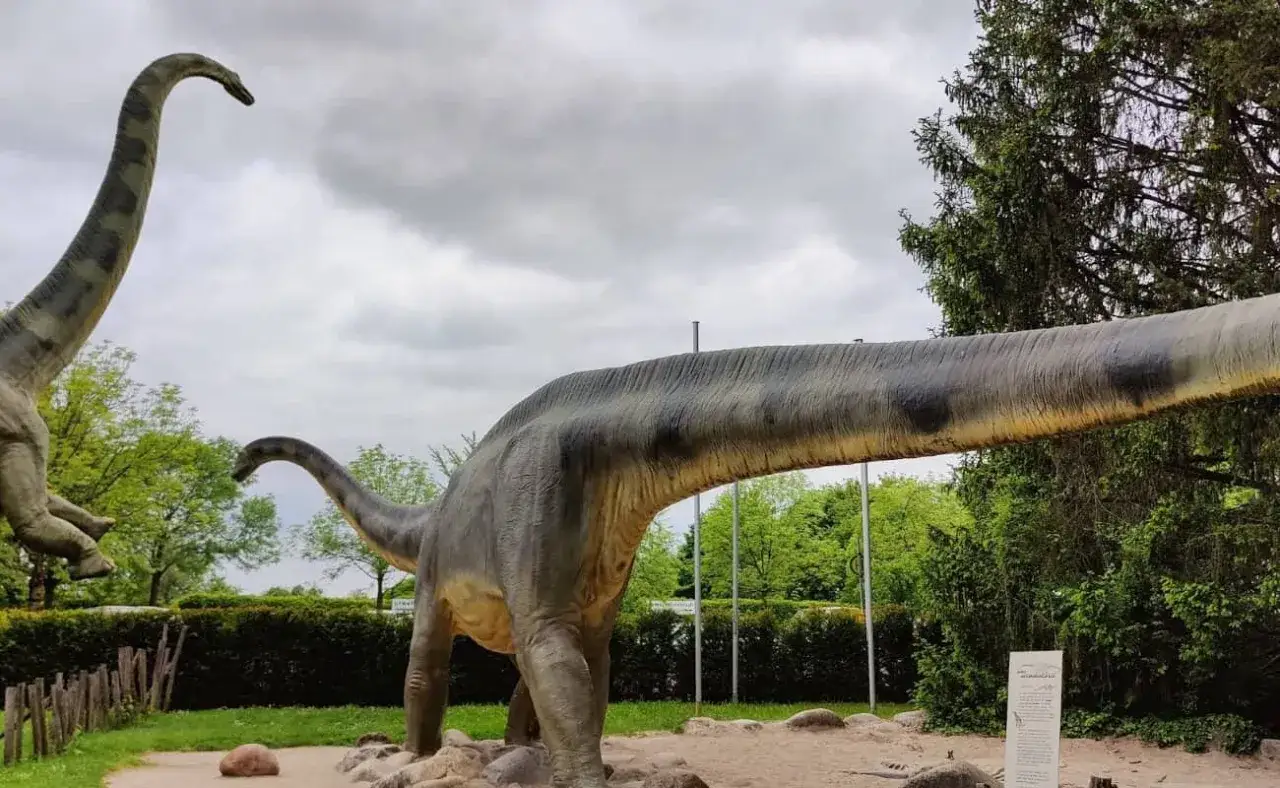 Zwei lebensgro&szlig;e Dinosaurier-Modelle im Holzmaden Dinopark, mit langen H&auml;lsen und detailreicher Hauttextur, stehen unter einem bew&ouml;lkten Himmel inmitten gr&uuml;ner B&auml;ume.