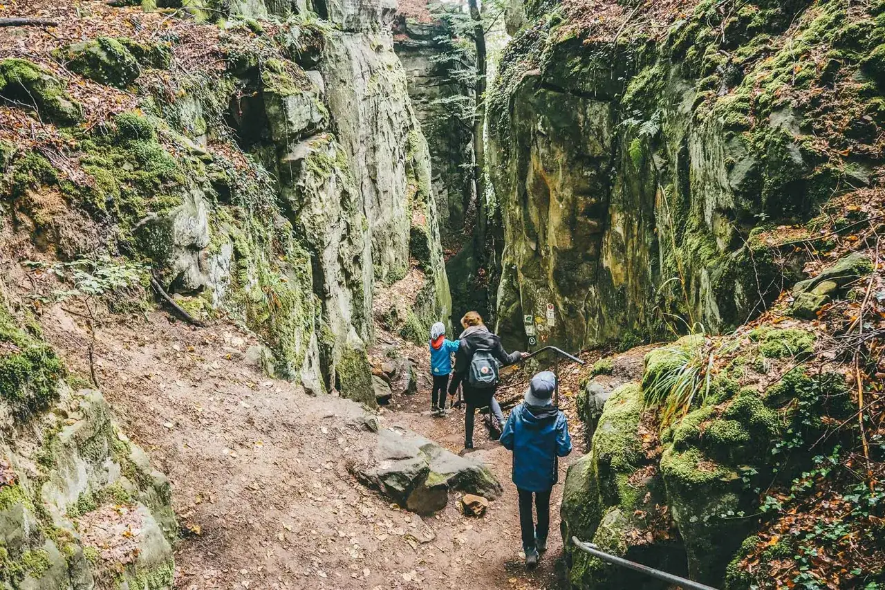 Familie wandert mit Kindern durch eine moosbewachsene Felsenschlucht in der Pfalz.