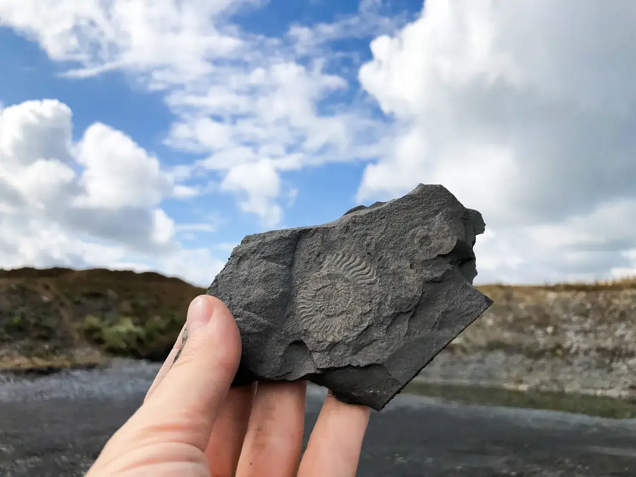 Ein Fossil, gefunden im Schiefersteinbruch Kromer, wird vor einem dramatischen Himmel gehalten.