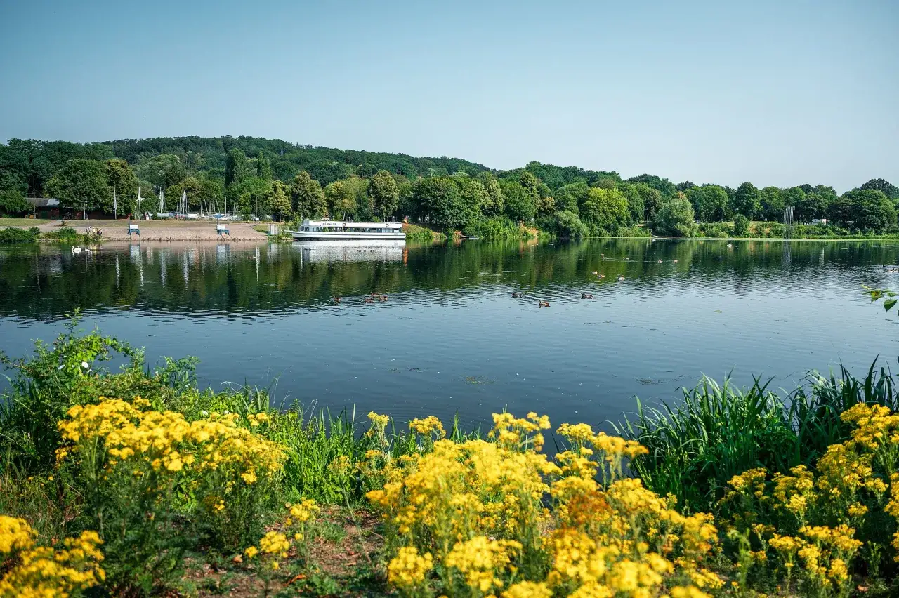 Bochum Geheimtipps: Ein sonniger Tag am Kemnader See mit gelben Blumen im Vordergrund, Enten auf dem Wasser und einem Ausflugsschiff.