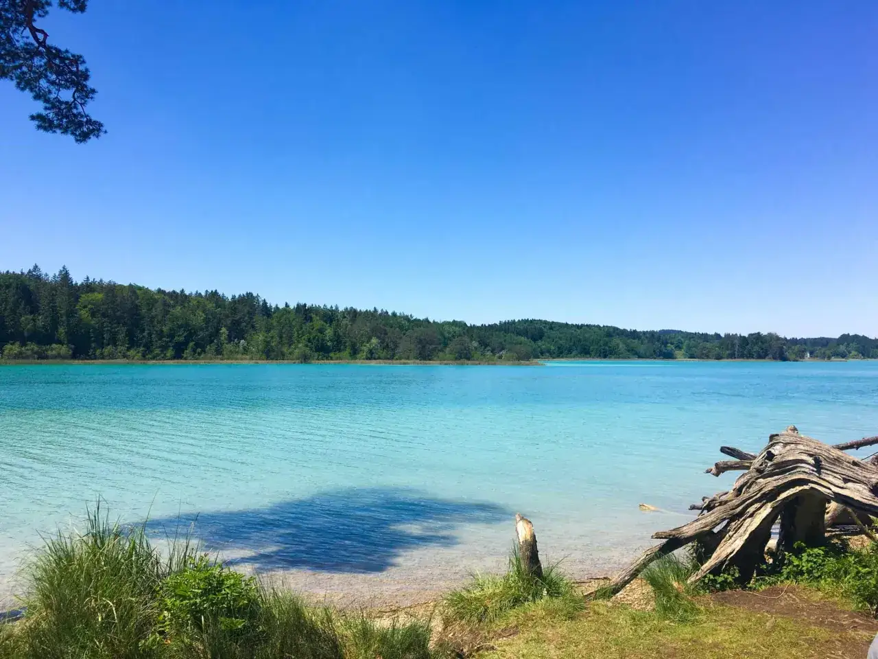 Türkisblaues Wasser am Hollerner See, umgeben von einem dichten grünen Wald unter strahlend blauem Himmel.