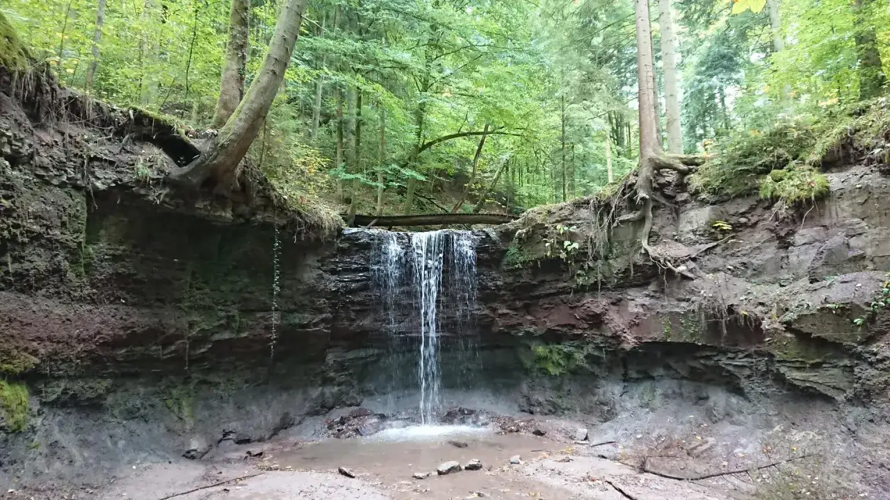 Ein kleiner Wasserfall st&uuml;rzt in einem welzheimer Wald &uuml;ber moosbewachsene Felsen. Wurzeln von B&auml;umen krallen sich an den Steilhang.