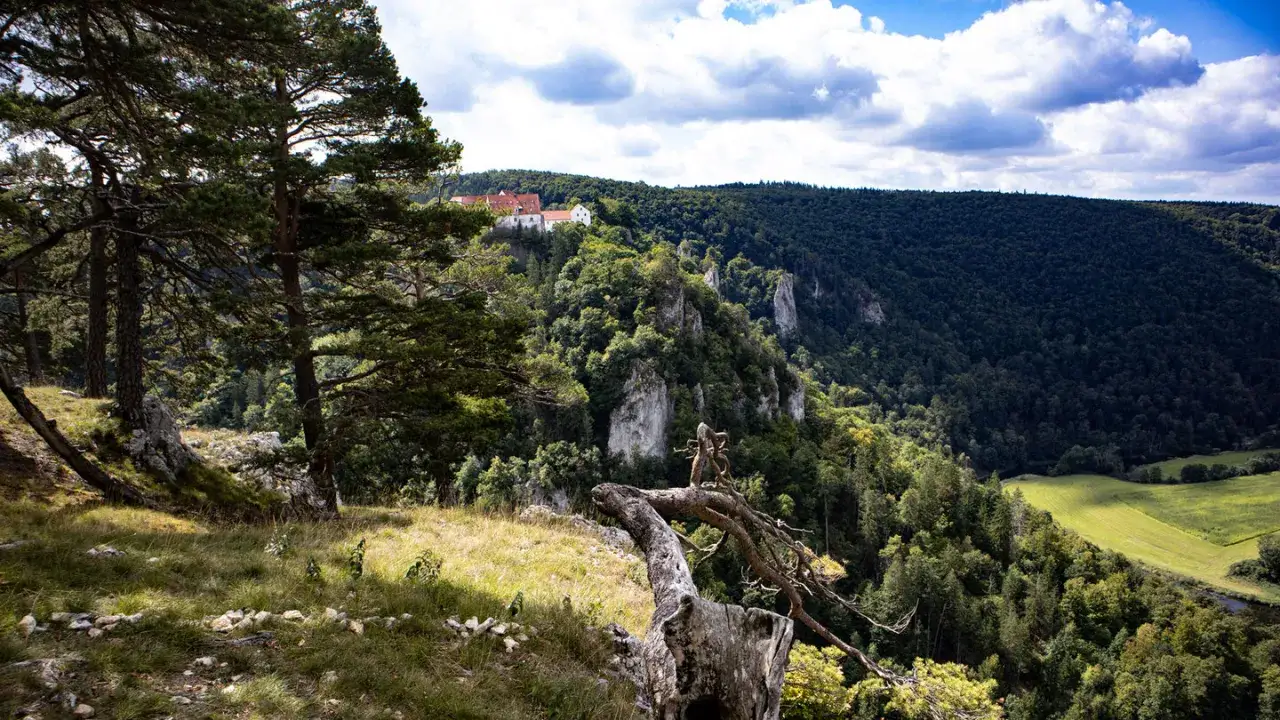 Burg Wildenstein thront majest&auml;tisch &uuml;ber dem gr&uuml;nen Donautal. Ein malerischer Ausblick von einem bewaldeten Hang.