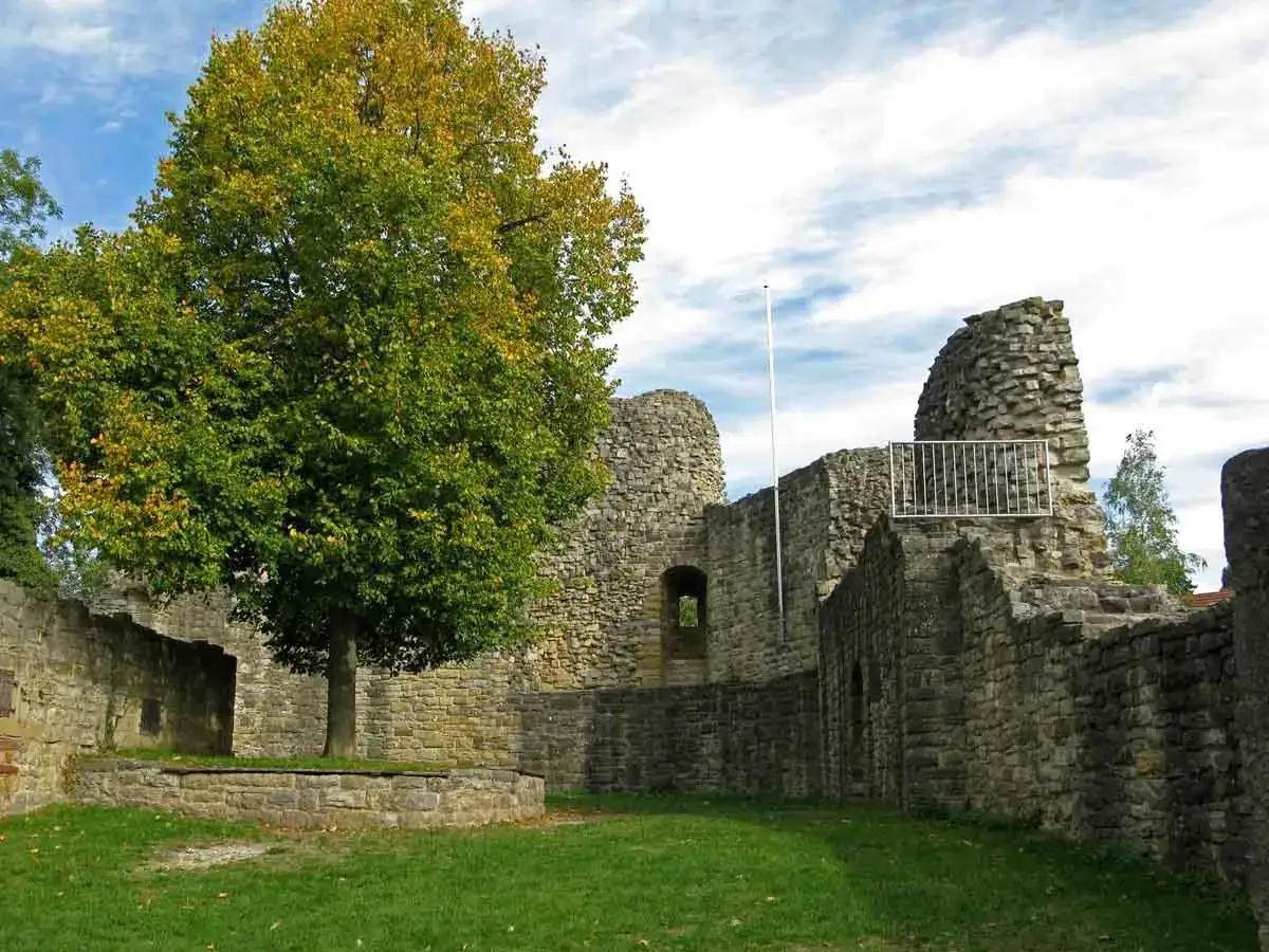 Ruinen der Burg Nippenburg mit einem Baum im Innenhof. Steine und Gras unter blauem Himmel.