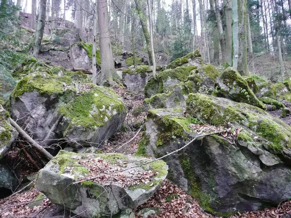 Moosbewachsene Felsen im Felsenmeer Murrhardt, umgeben von Bäumen und Laub.