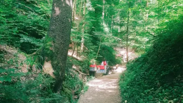 Ein Pfad führt durch den Wald zur Schelmenklinge Lorch, wo kleine Häuser mit roten Dächern versteckt sind.