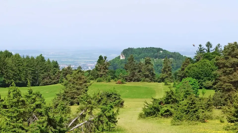Felsenmeer Burgfelden - Dein Guide für Wanderung & Familienausflug